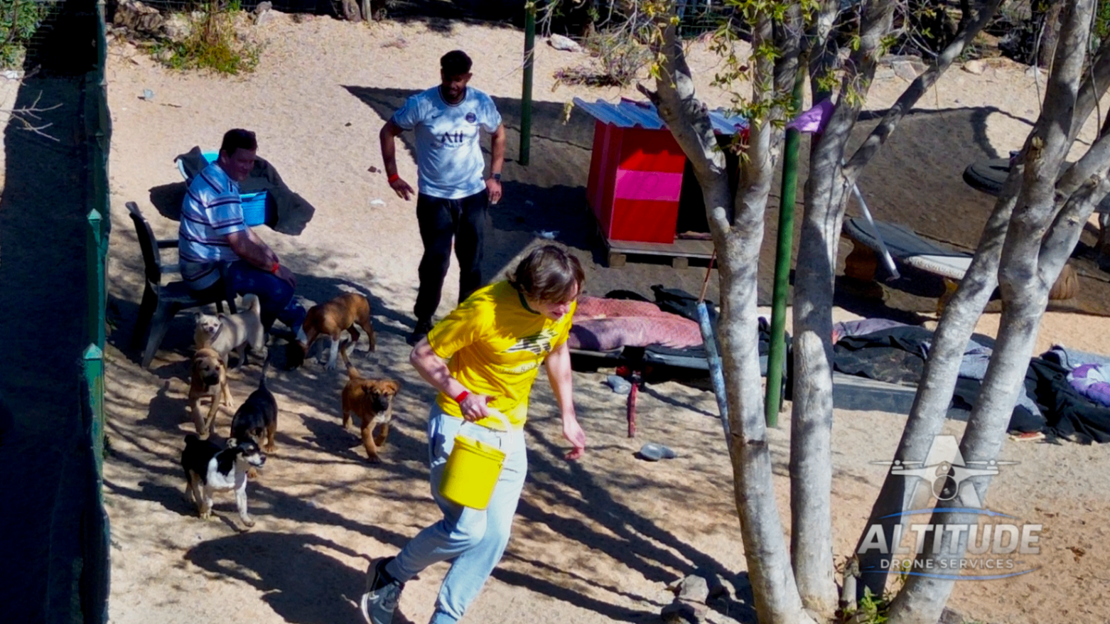 Woodrock — Volunteers Feeding the Puppies